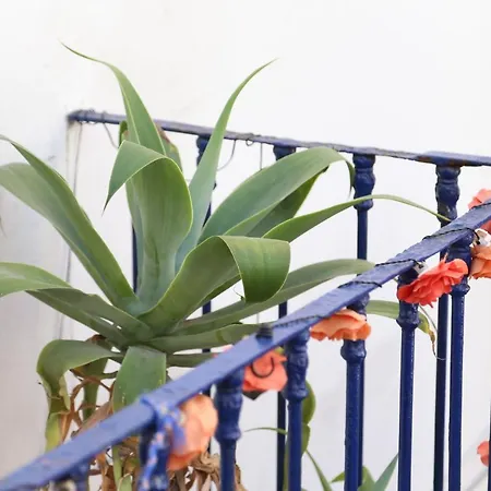 Gasthuis Saudade Lissabon