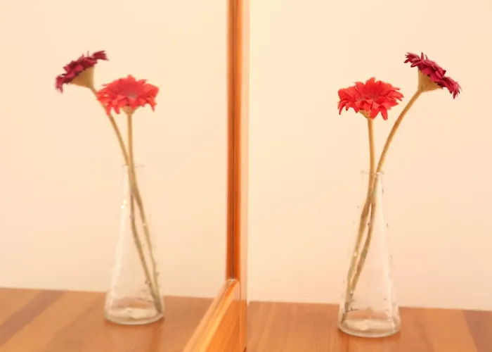 绍达迪旅馆 招待所